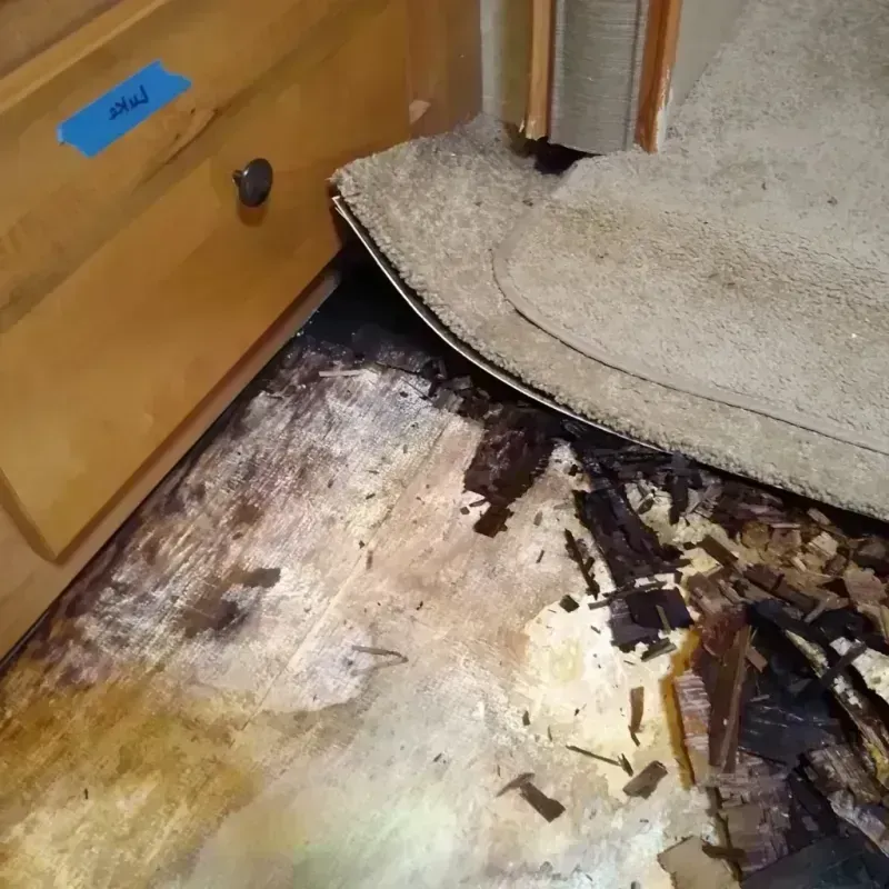 Best Wood Floor Water Damage Service in Erwinville, LA